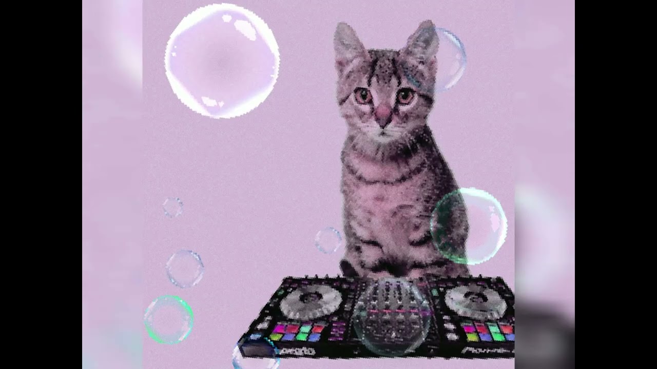 That silly meowsynth