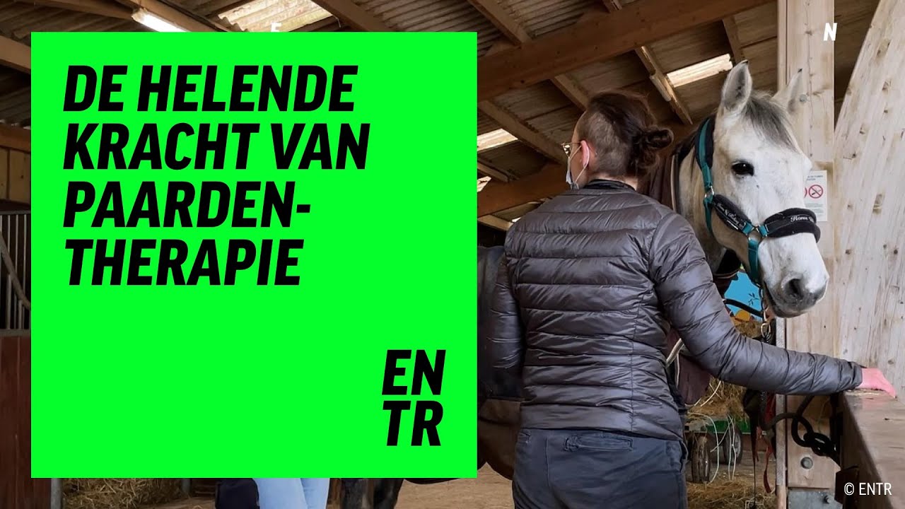 Paardentherapie | Met je DEPRESSIE naar de RIJSCHOOL