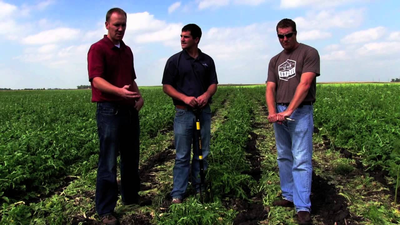 Strip Tilled Cover Crops with Millborn Seeds and Asmus Farm Supply
