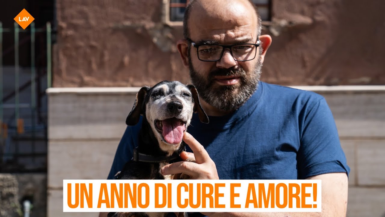 EPISODIO 4 - GODZILLA e Marco - Ambulatorio veterinario sociale