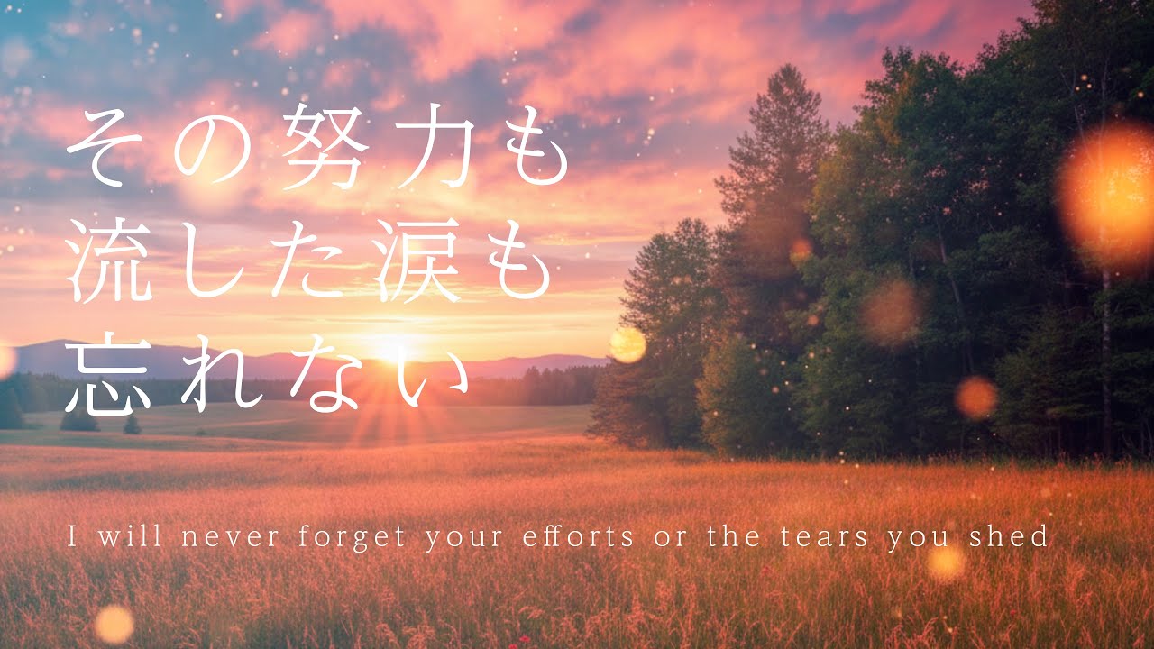 【やさしいBGM】「その努力も 流した涙も 忘れない」I will never forget your efforts or the tears you shed／癒し・睡眠・作業・リラックス／4K