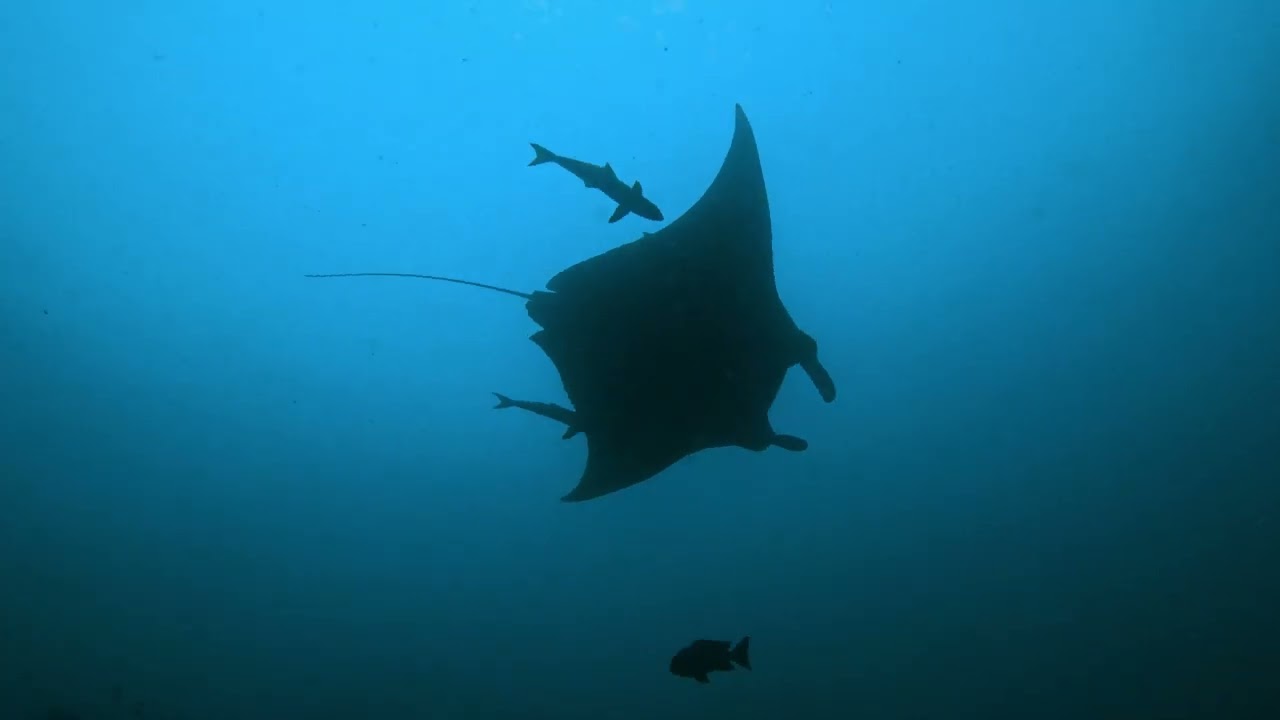 Raja Ampat, West Papua, Indonesia, Dec 2025