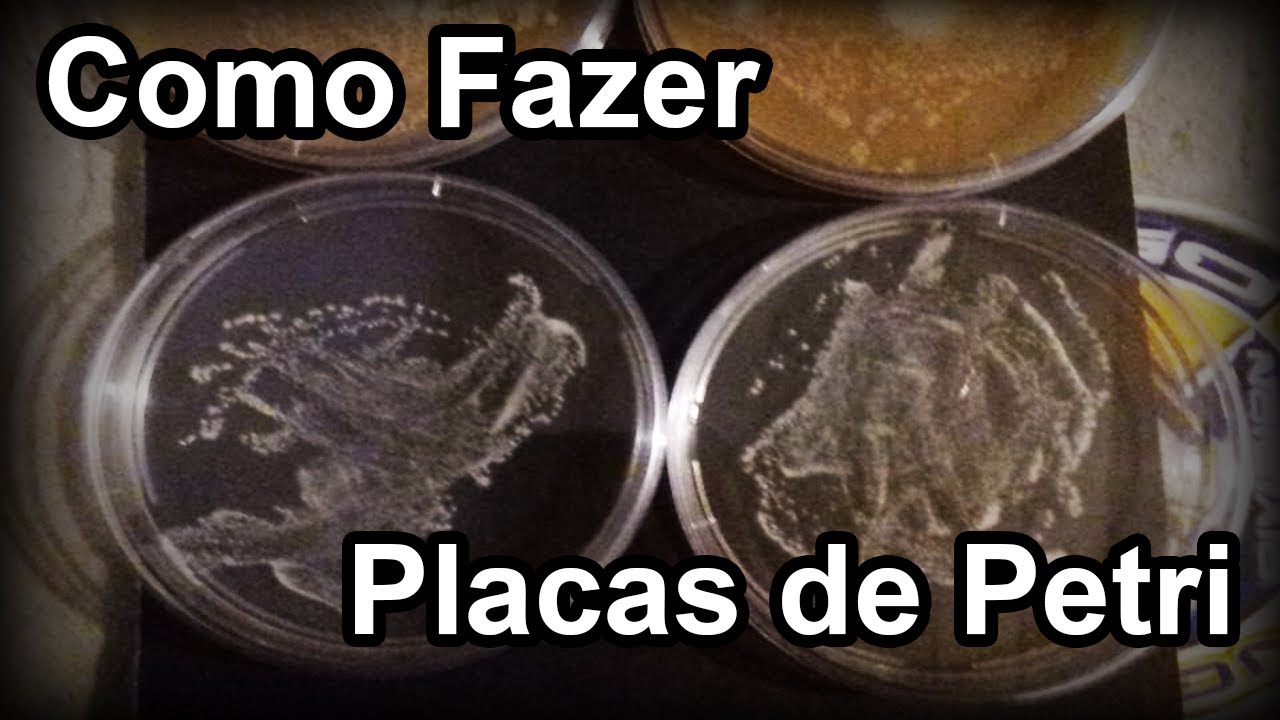 Como Fazer Placas de Petri (+Micro experimento)