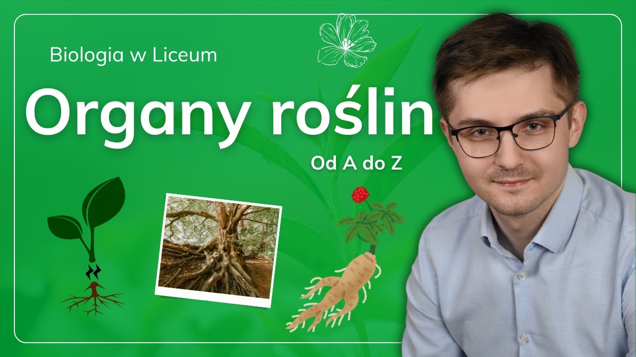 Organy roślinne i przyrost roślin na grubość od A do Z