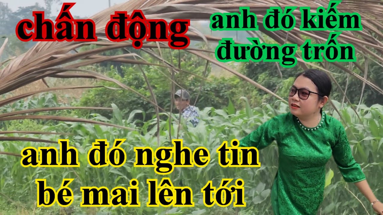 Chấn động anh đó kiếm đường trốn vì nghe tin bé mai lên tới