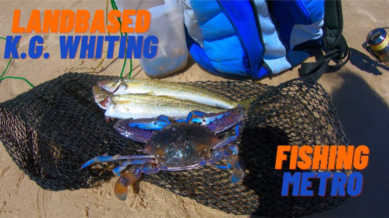 Somerton Beach | METRO Land based King George Whiting & Blue Swimmer Crab | Fishing South Australia