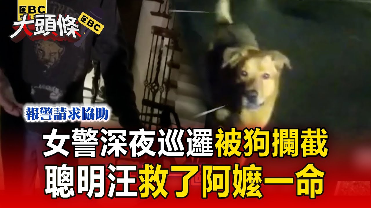 聰明汪救阿嬤一命！女警深夜巡邏被狗攔截意外找到失蹤嬤