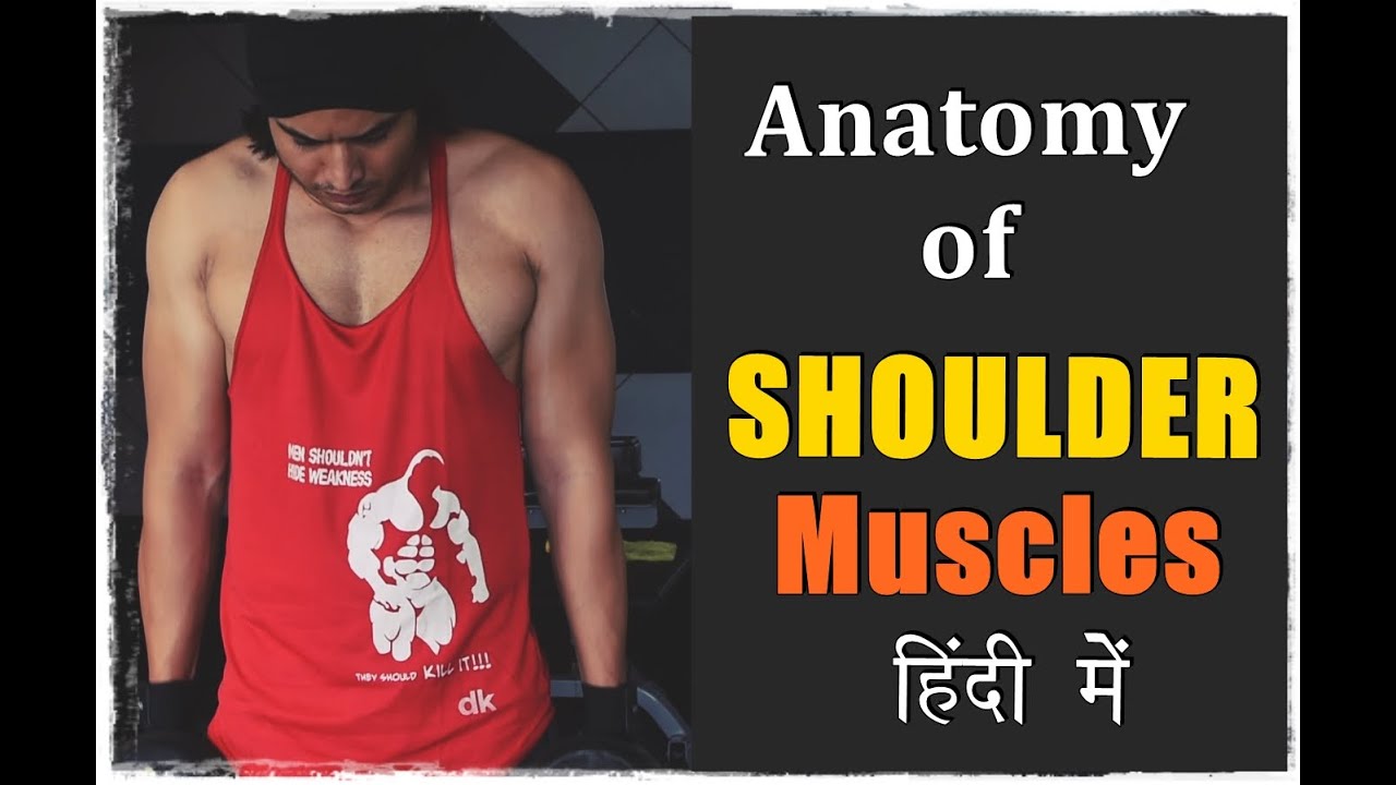 [HINDI] Anatomy of Shoulder Muscles | Deltoids | by Abhinav Tonk
