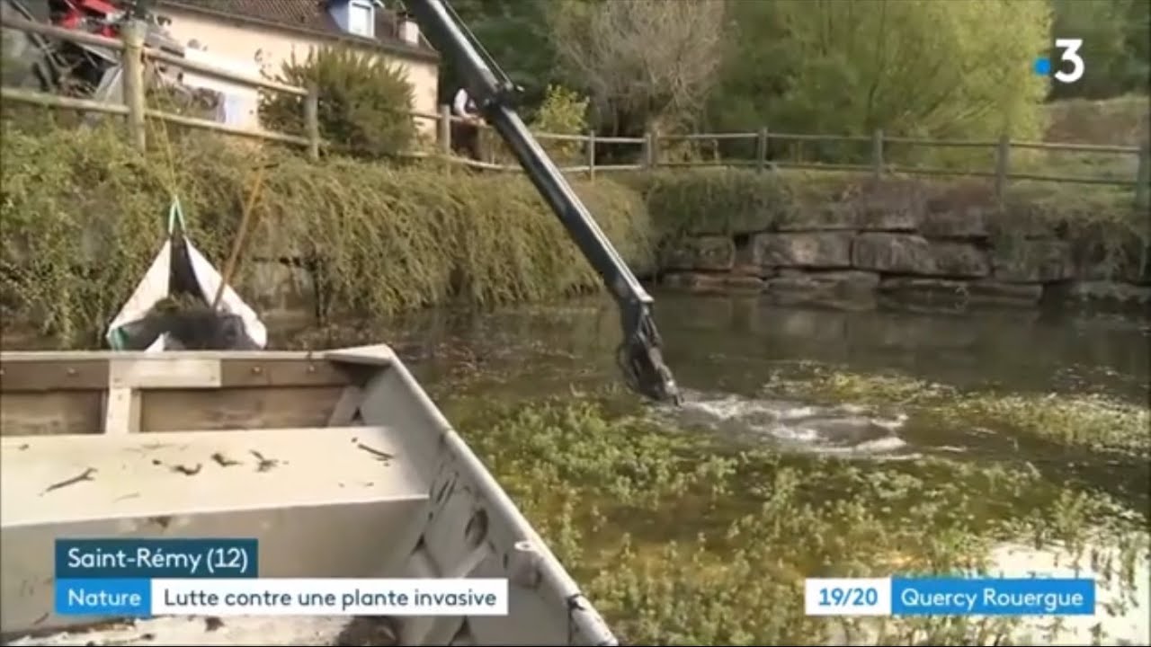 Lutte contre le Myriophylle du Brésil F3 Quercy Rouergue 2020 09 29