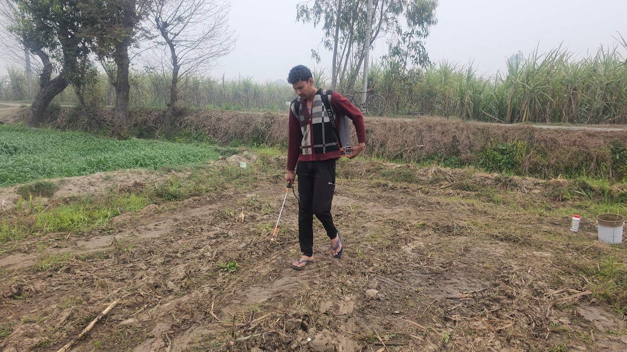 गन्ना पेडी की फसल में आरएमडी चलाने के बाद सबसे जरूरी काम आज खेत में कराया स्प्रे।