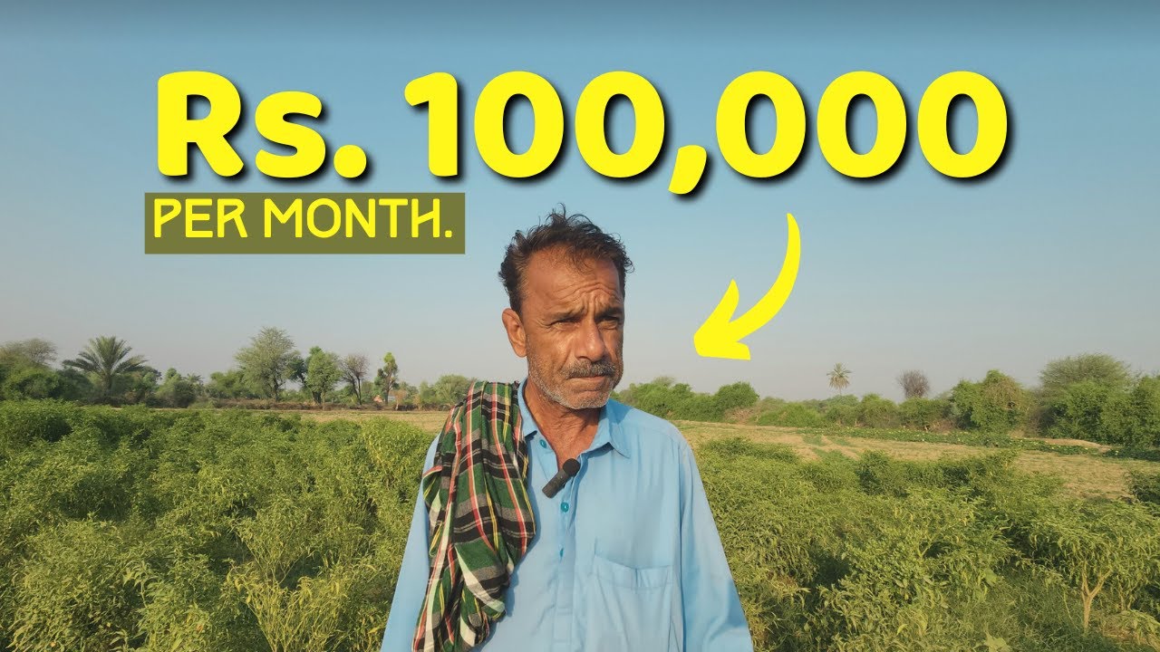 100K from a small piece of Land! Kakas travel