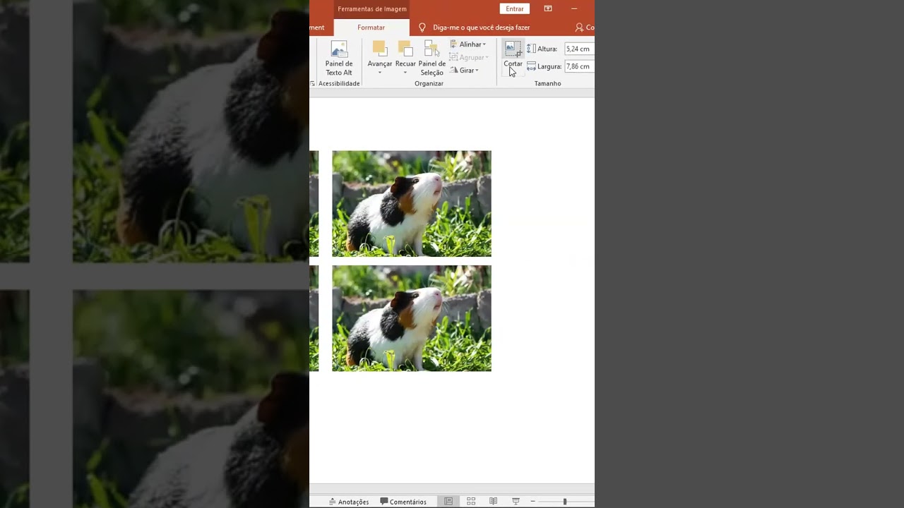 Como RECORTAR fotos em FORMAS no PowerPoint | SHORTS