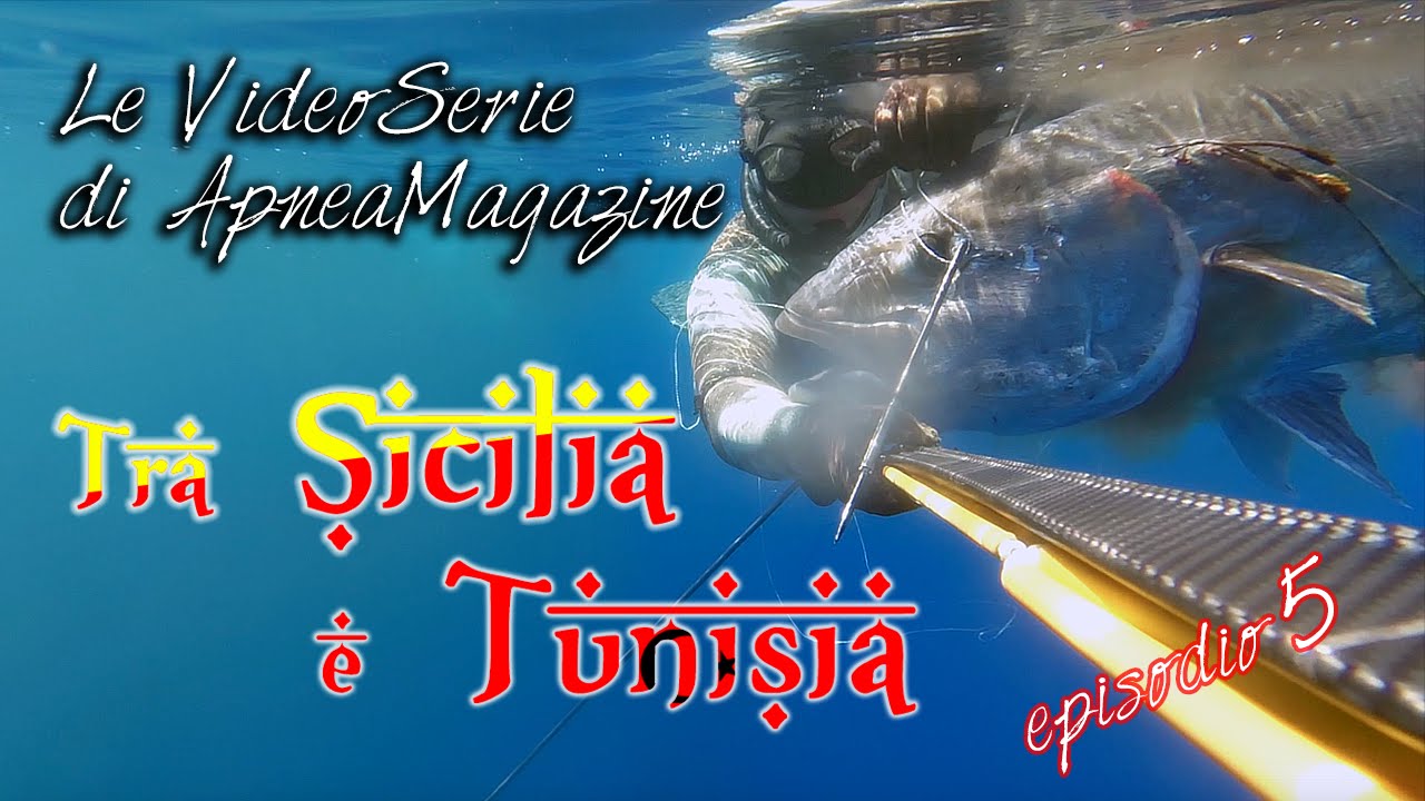Spearfishing in the Sicily Banks: the Great Amberjack - Apnea Magazine