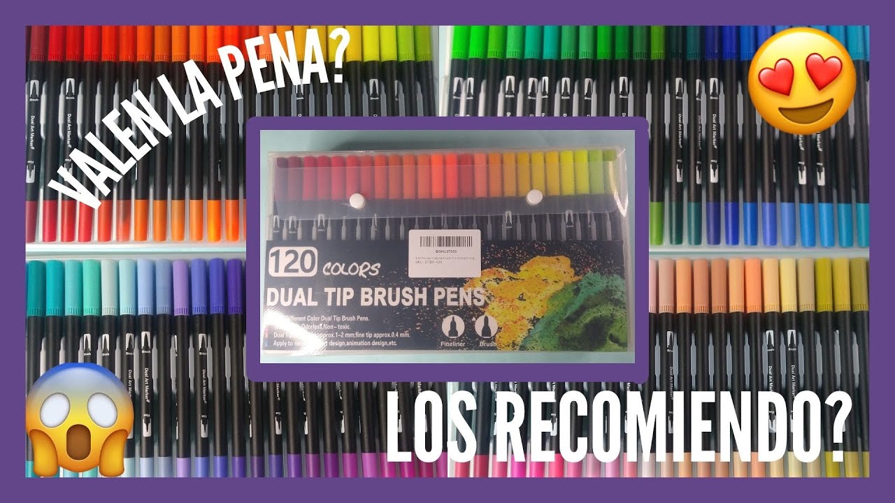 LOS RECOMIENDO? PROBE PLUMONES DUAL TIP BRUSH PEN🖌️ || Pamela Saldaña