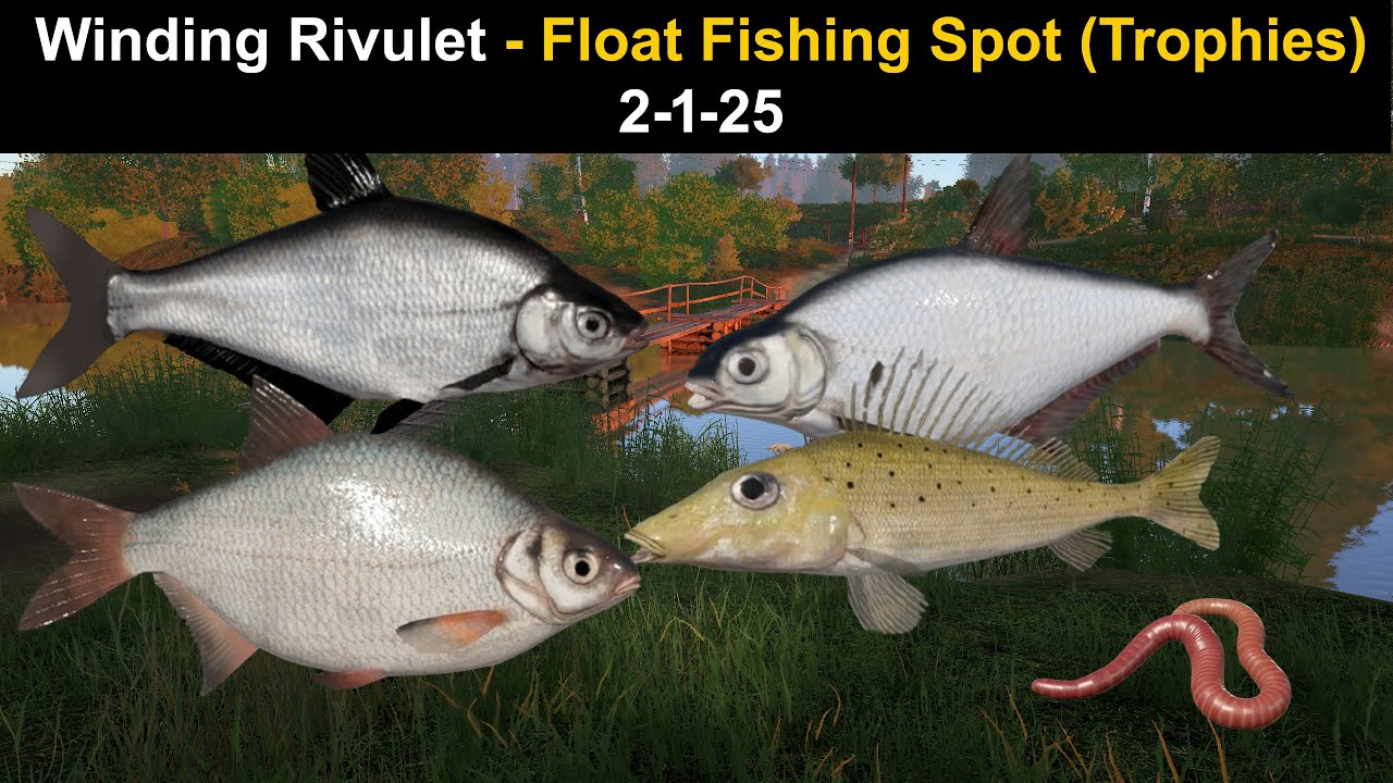 Russian Fishing 4, Winding Rivulet - Float Fishing Spot (Trophies) 2-1-25