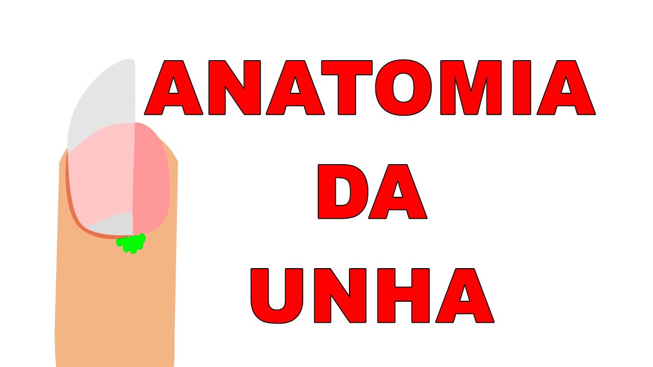 3º VÍDEO DA SÉRIE | ANATOMIA DAS UNHAS | MEUS SEGREDOS DE MANICURE