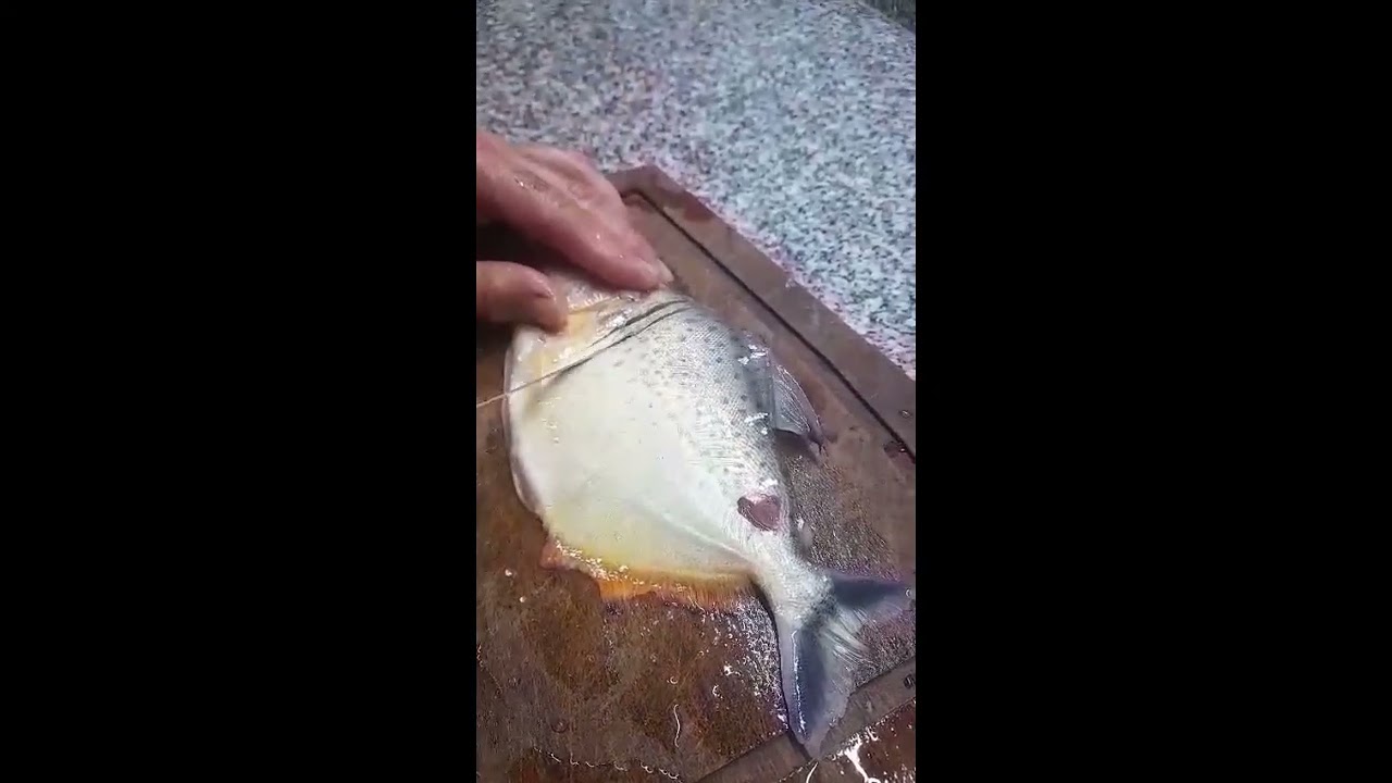 COMO COCINAR UNA PALOMETA O PIRAÑA (PIRANHA)