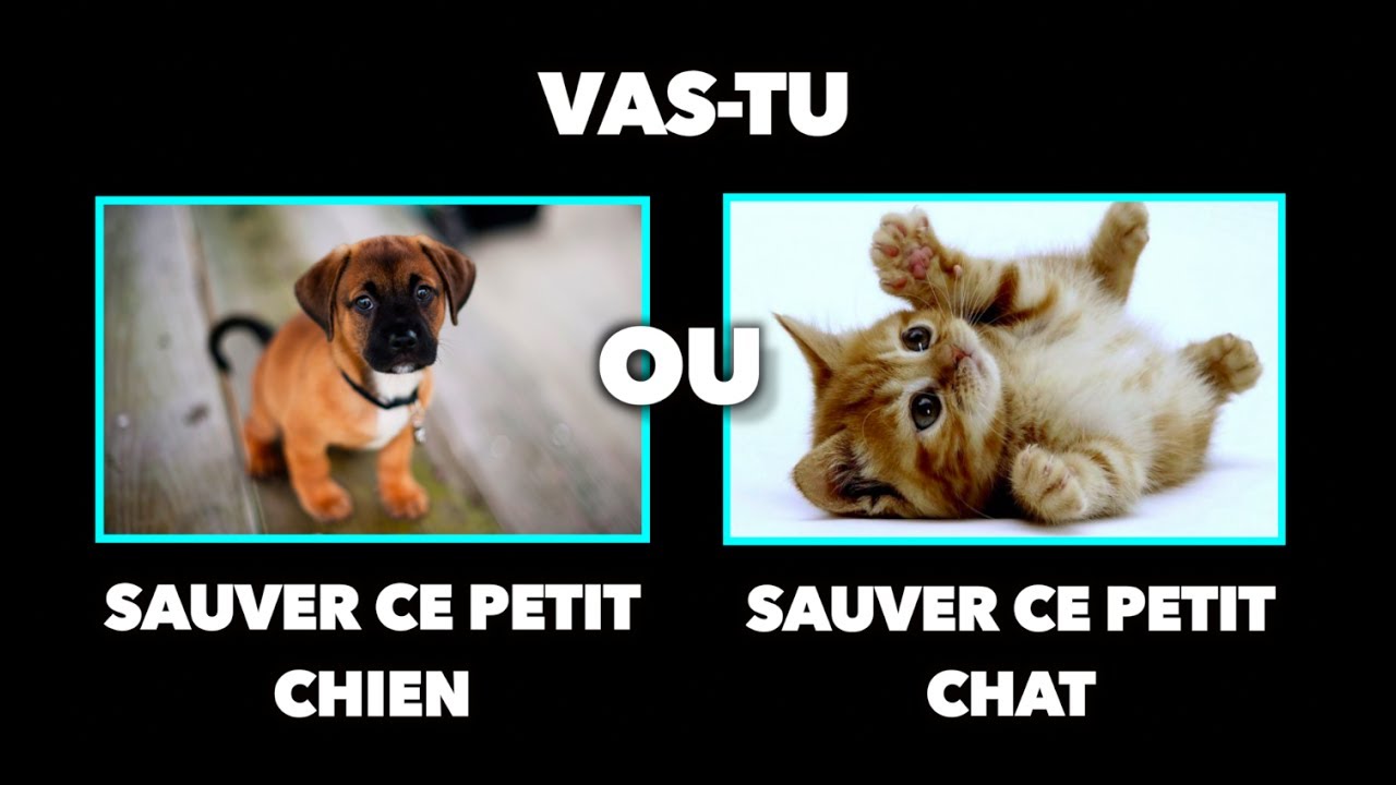 LES DILEMMES LES PLUS DIFFICILES AU MONDE ! (TEST DE PERSONNALIT&Eacute;)