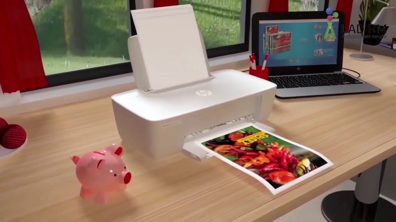 HP DeskJet Ink Advantage 1115 струйный принтер для дома: обзор.