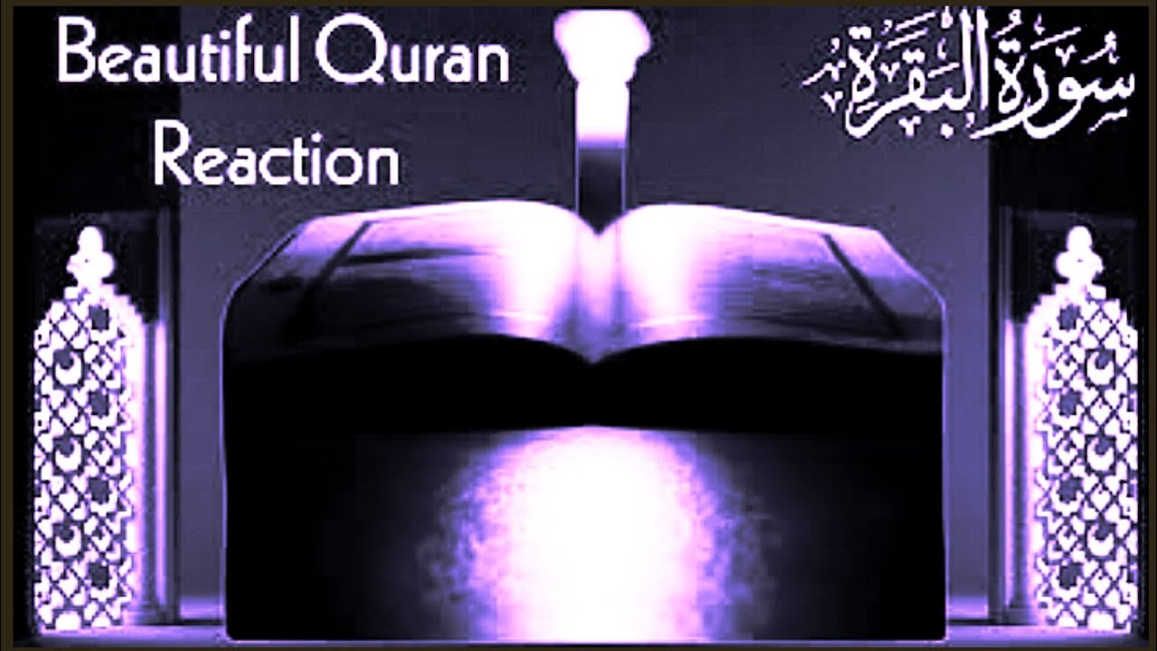 Surah Baqarah (Fast Recitation) Quick Reading By Sheikh Mishary Afasy With Arabic  سورة البقره Ep134