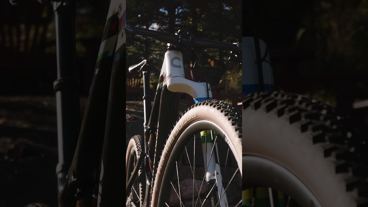 DREAM BUILD 🌈 Alan Hatherly&rsquo;s World Champion Team Edition Cannondale Scalpel (ASMR)