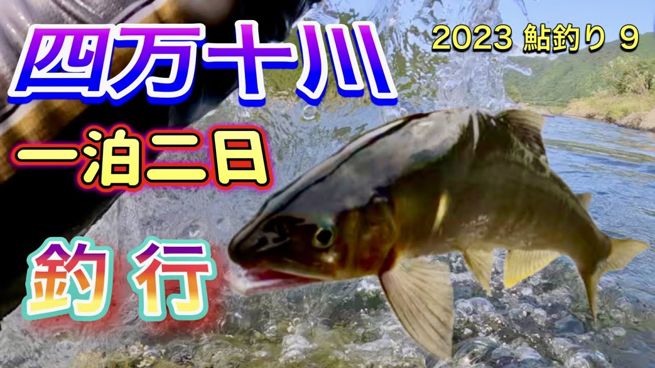 2023 鮎釣り 9【四万十川　一泊二日釣行】