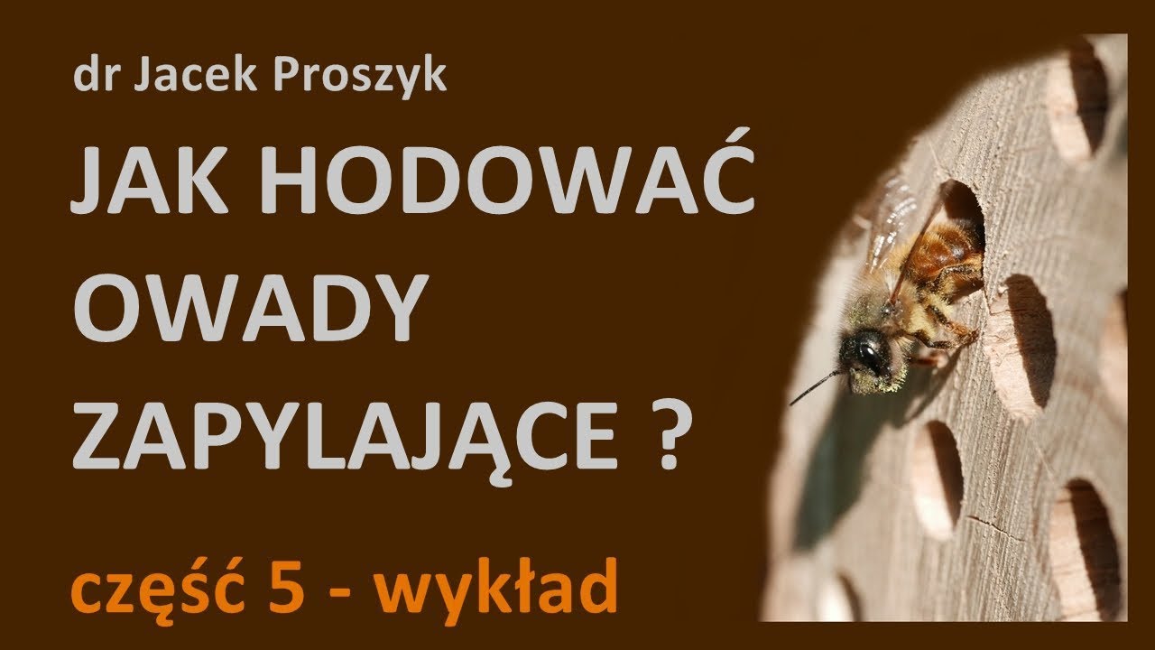 Jak hodować owady zapylające? (cz.5) wykład