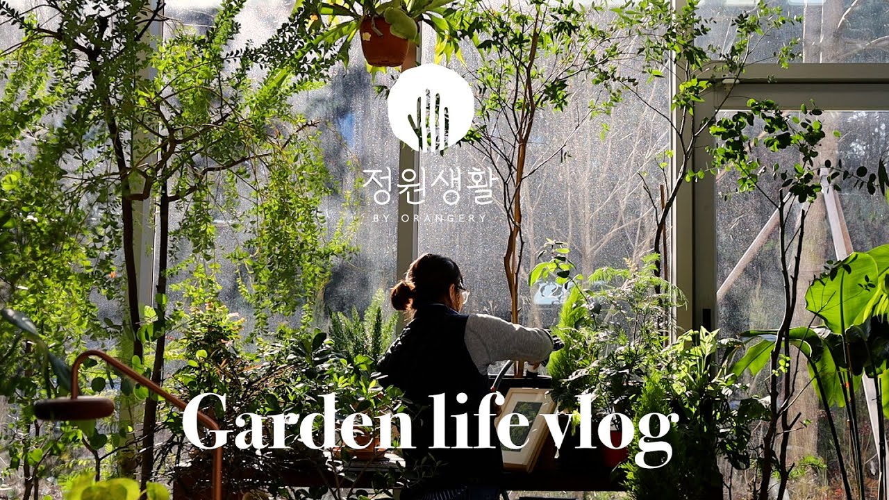 겨울철 실내 식물 관리는 어떻게 해야할까? |온실 식물 편집샵, 카페의 일상 | 정원생활 브이로그