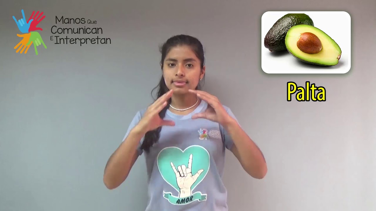 08 Video Basico LSP 08 Los Alimentos