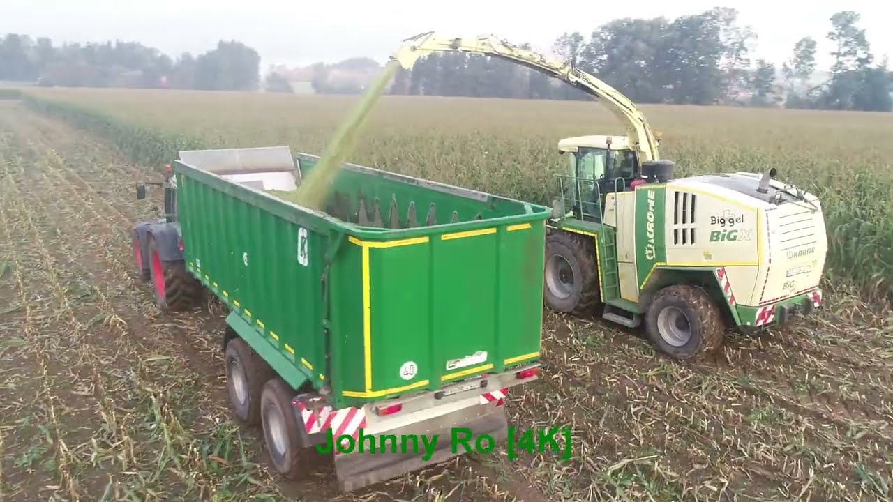Maishäckseln mit LU Biggel, Krone Big X 1100 mit 12 Reihen Maisgebiss, Claas, Fendt Teil 5 2024 [4K]