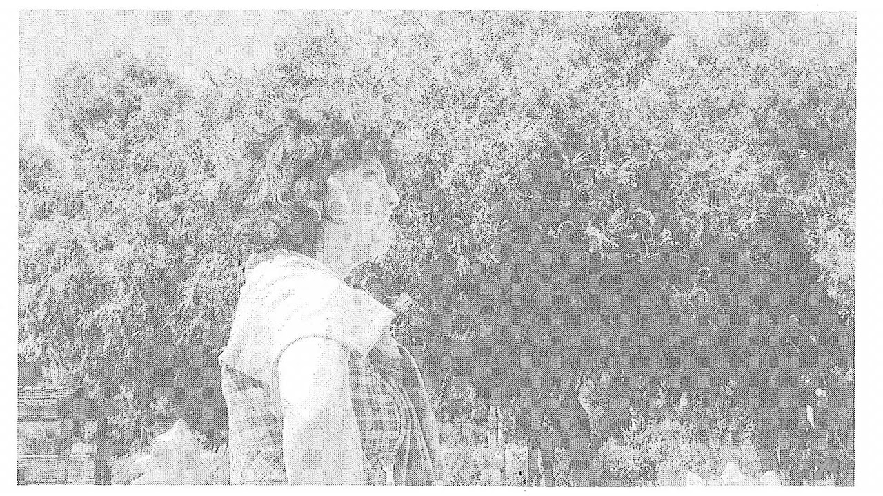 The Umbrellas - She Buys Herself Flowers