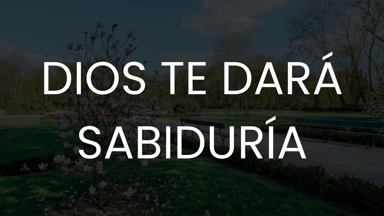 Estos Proverbios Bíblicos Te Llenarán de Sabiduría Divina | Biblia Hablada  #god #jesus #usa