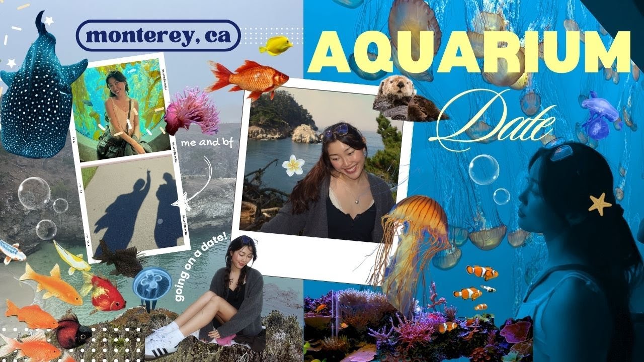day in my life: cutest date idea  🦦🐚🪸(monterey bay aquarium!)