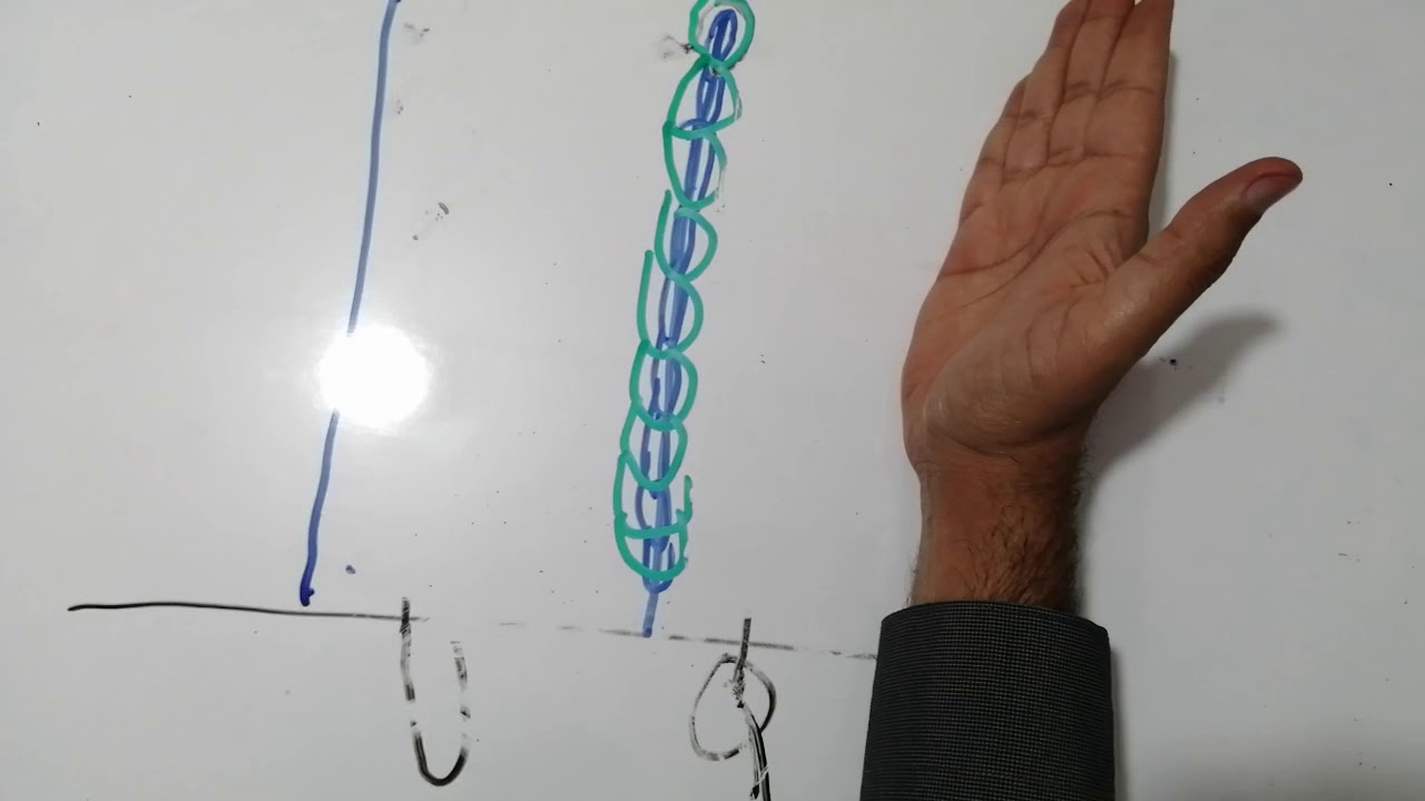 المحاضرة الثالثة / الرابع العلمي / المجموع الخضري الاستاذ حسن الحسناوي