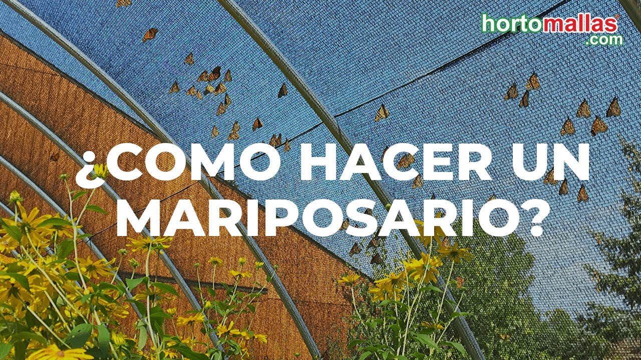 &iquest;Como hacer un mariposario?