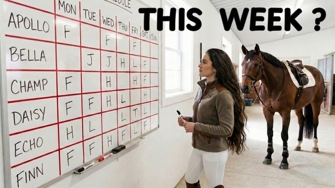 How to Plan a Weekly Training Schedule for Sport Horses