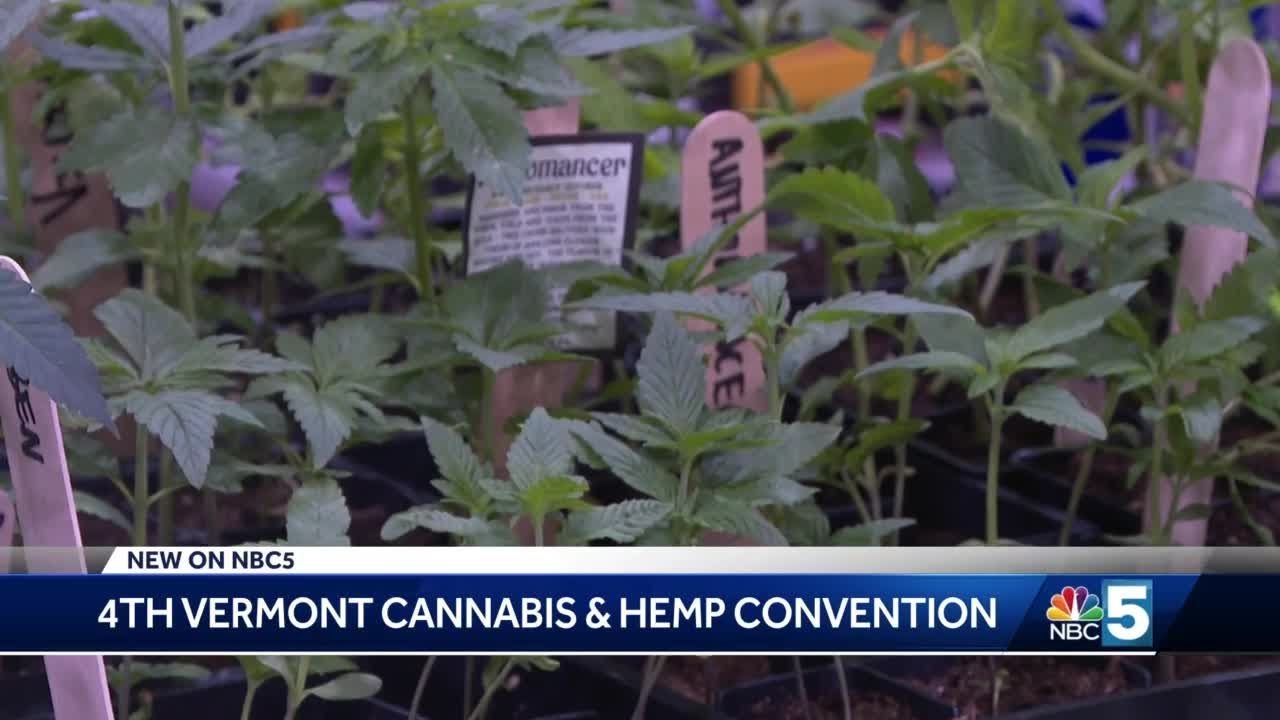Vermont hosts 4th annual cannabis convention
