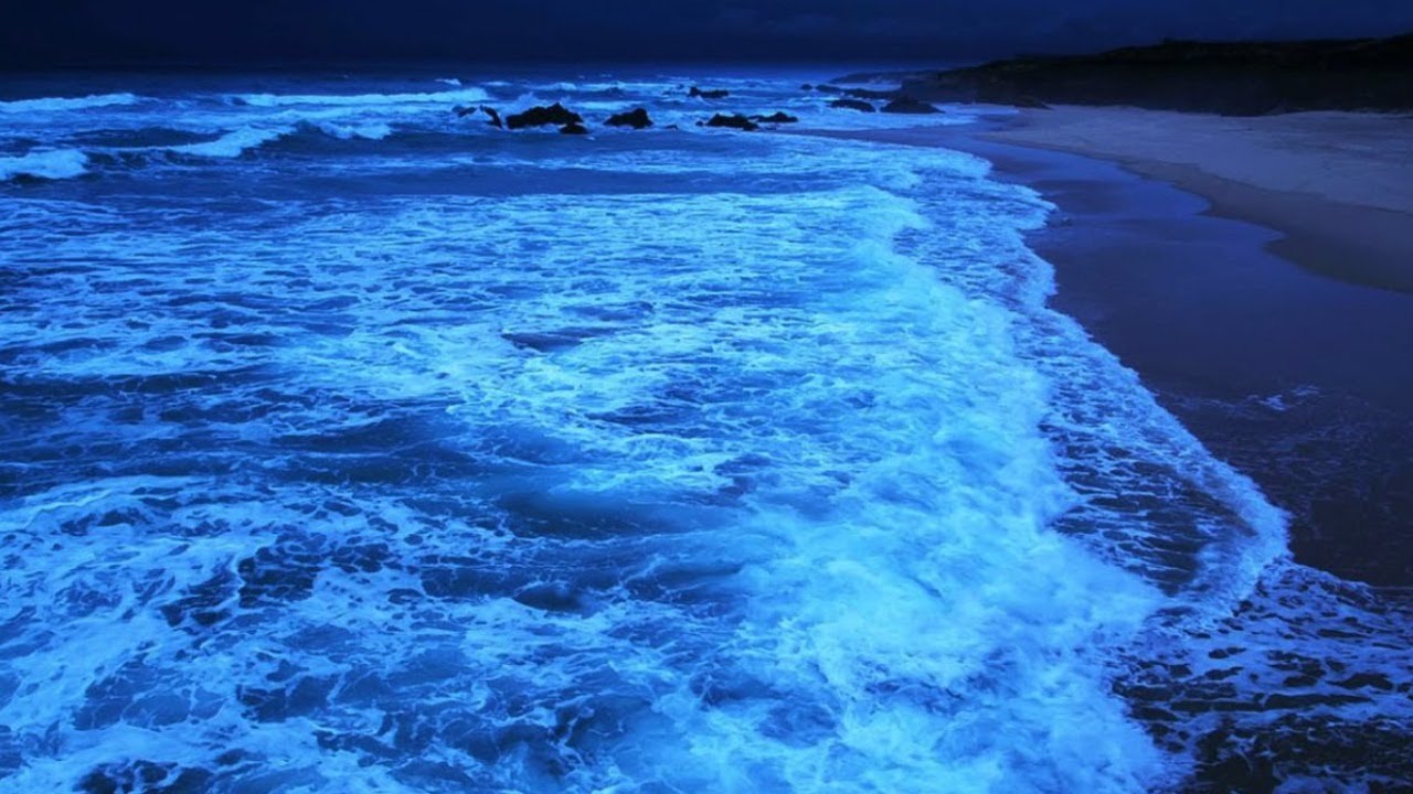Peaceful Ocean Waves 🌊 Fall Asleep Fast | Nature Sounds - deep sleep sounds