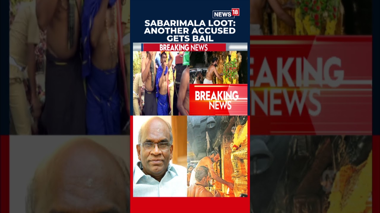 Кража золота в Сабаримале: обвиняемый Н. Васу освобожден под залог | Н18С
