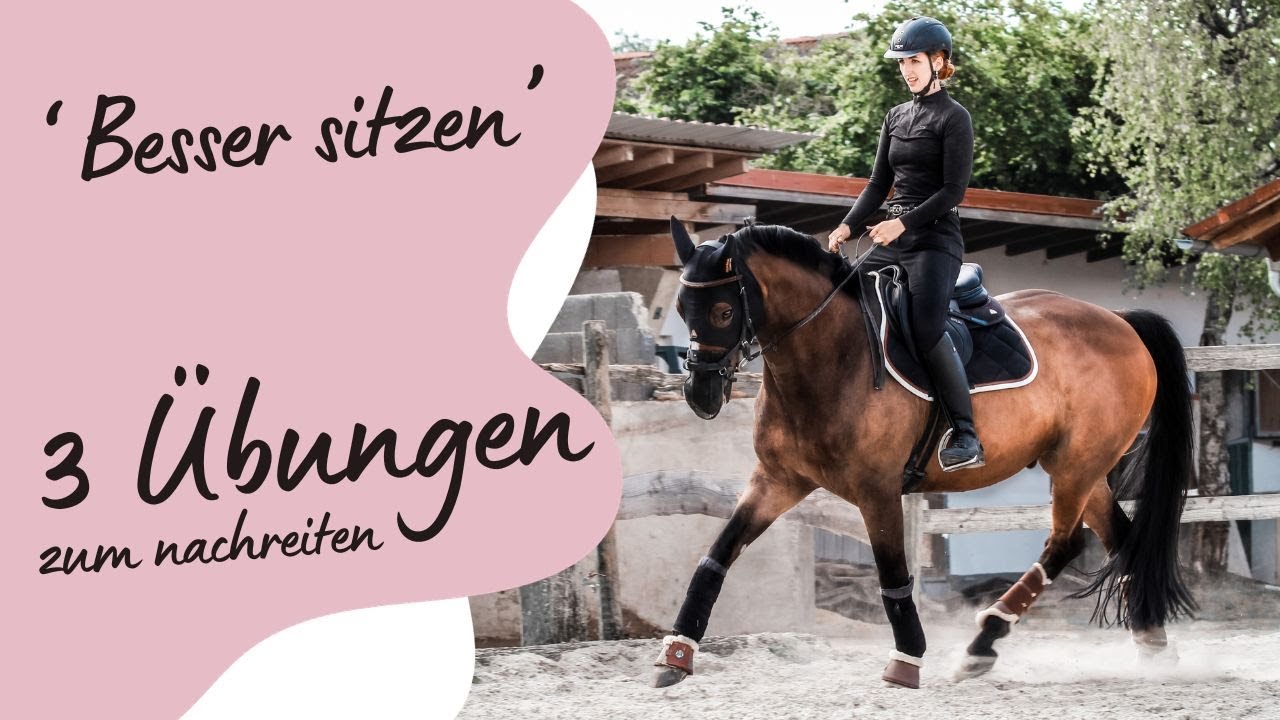 3 Übungen für einen BESSEREN SITZ | Reiten | Aussitzen