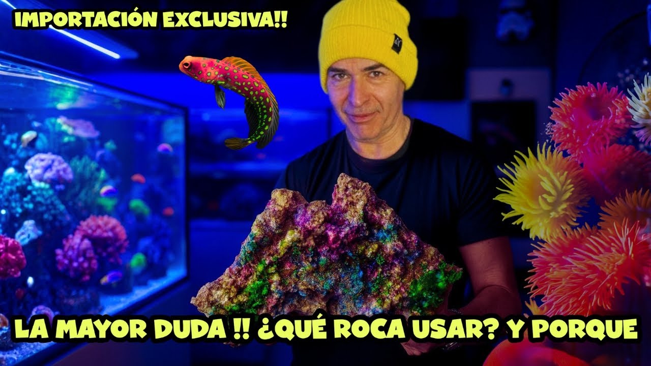 NO TODAS LAS ROCAS VALEN ❌ | NUEVA IMPORTACIÓN DE PECES!! 🐠🔥