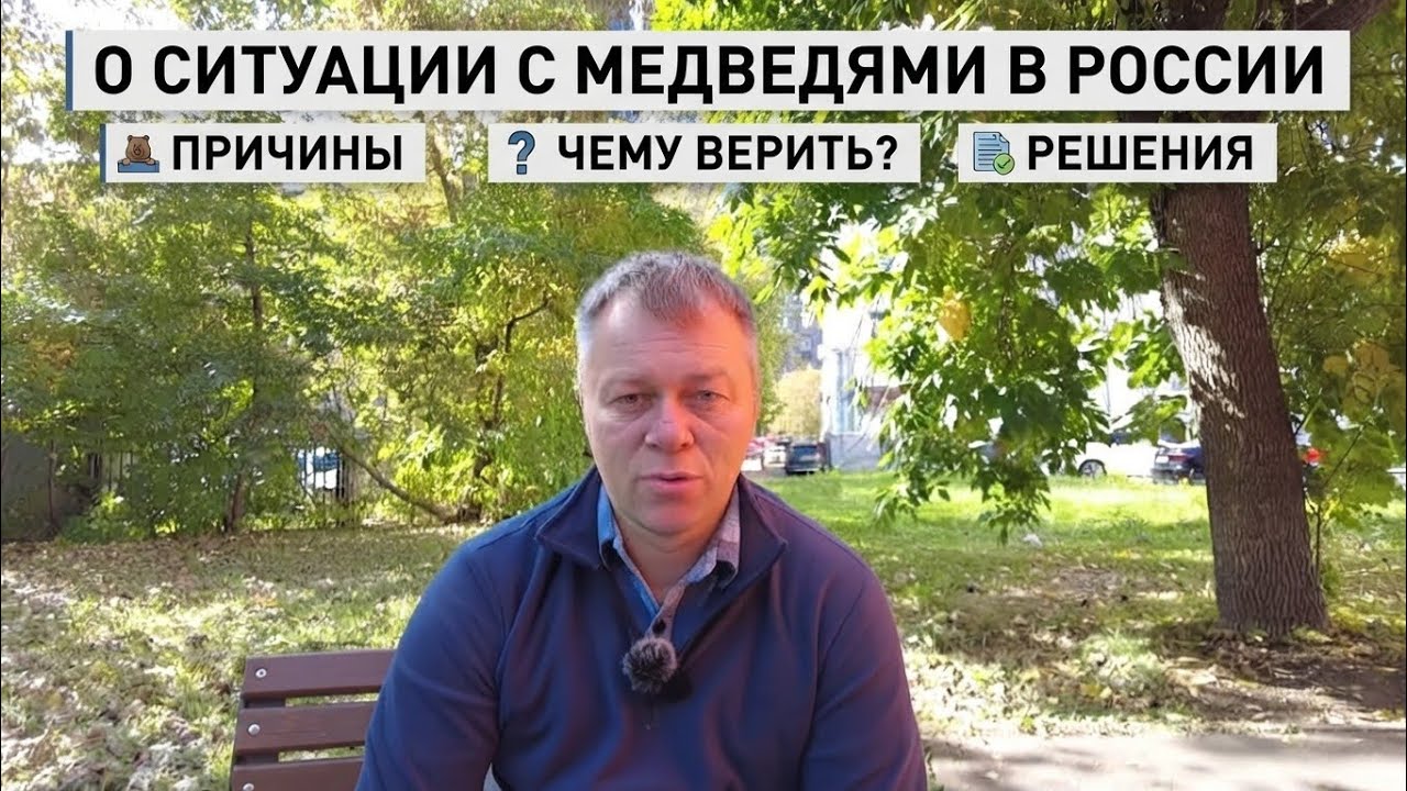Андрей о ситуации с медведями в России: причины, чему верить и решения