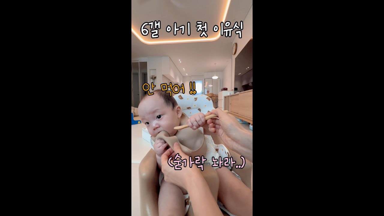 6개월 되자마자 이유식 시작했어요 | 둘째가 토쟁이라 이날만을 기다렸다는.. | 넌 이유식마저 누나랑 다르구나..