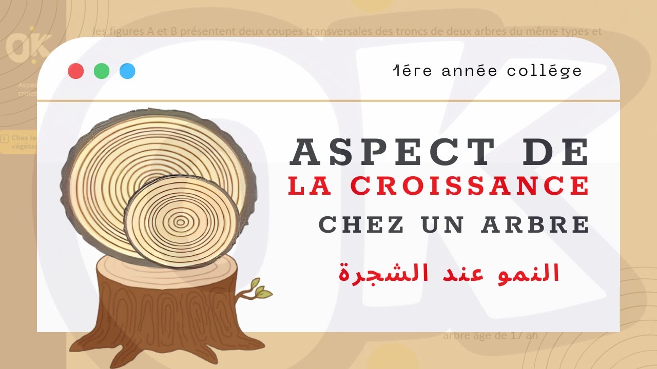 1AC | Aspect de la croissance chez les v&eacute;g&eacute;taux - Cas d'un arbre