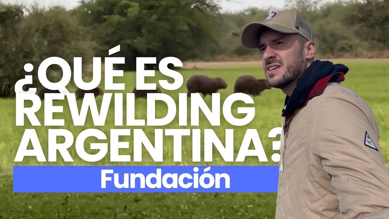&iquest;Qu&eacute; es Rewilding Argentina? 