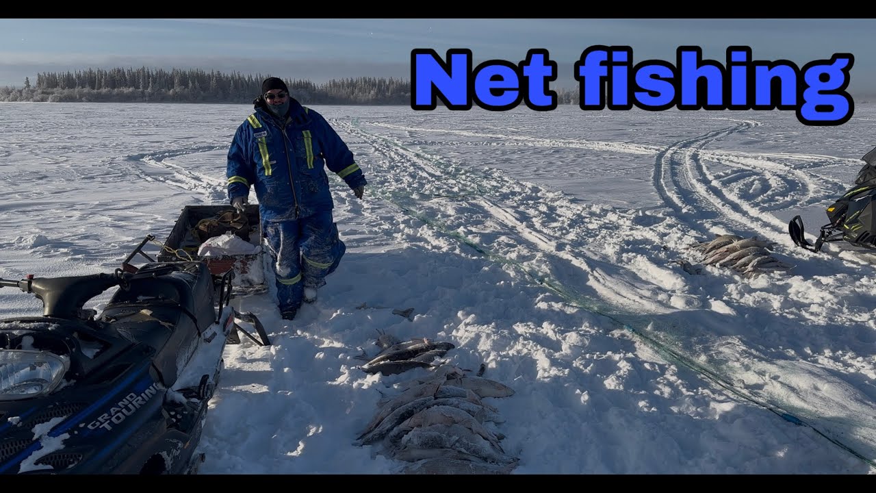 Net fishing