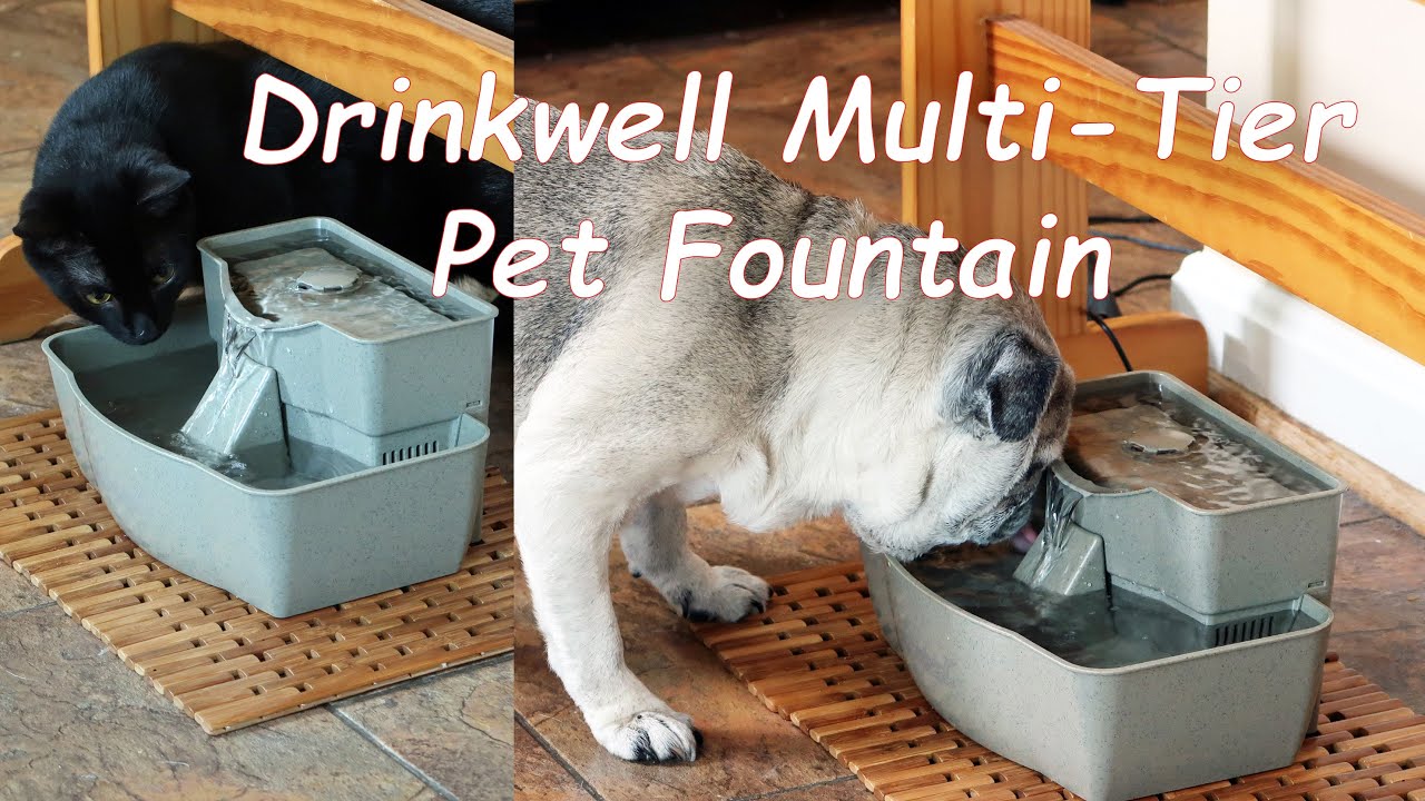 PetSafe Drinkwell🌞Multi-Tier Pet Fountain Dogs, Cats Water Review 👈