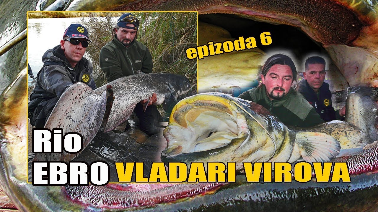 DVA METRA SOMčine! Kapitalci na METALE i SILIKONE varalice - Vladari virova E-6/6 / VSP Igor Pavičić