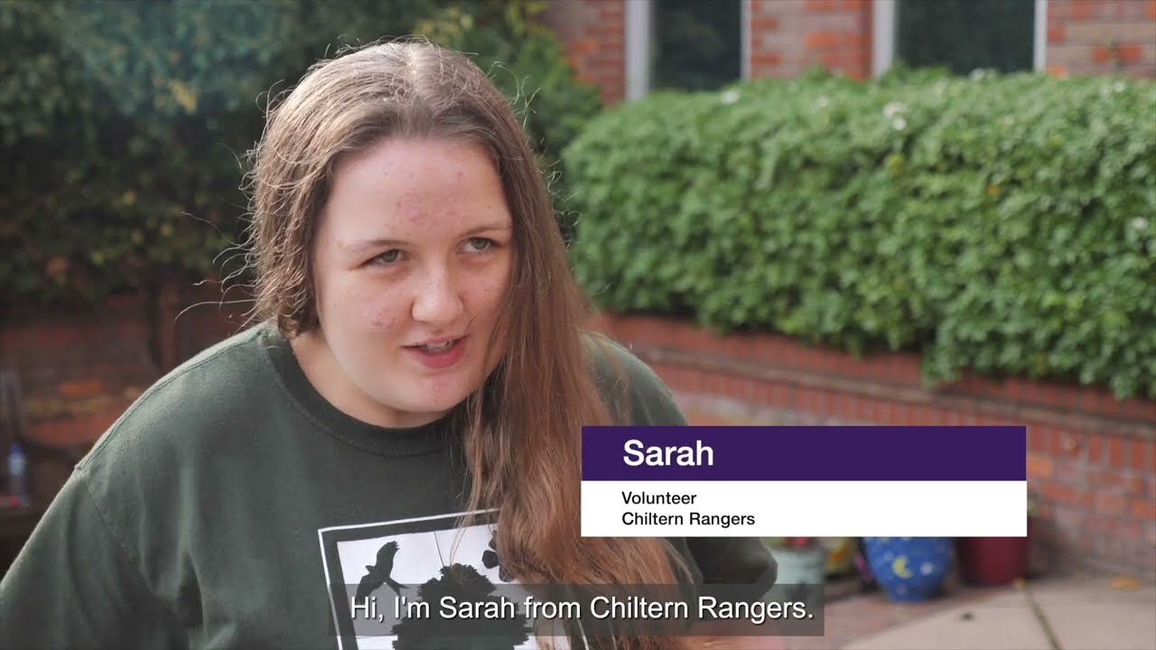 Stepping Stones to Employability (Full Version)