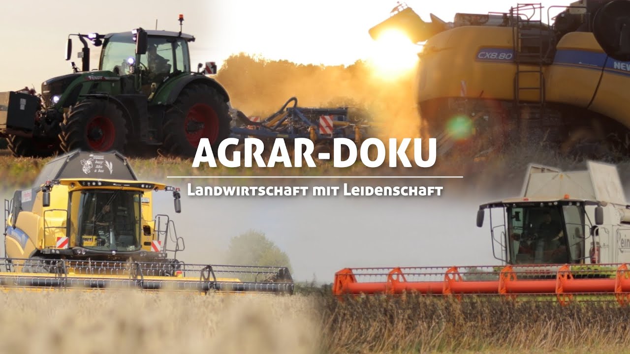 Landwirtschaft mit Leidenschaft | Getreideernte 2023 | Dokumentation - Soester Börde